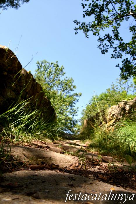Vallfogona de Ripollès - Pont medieval