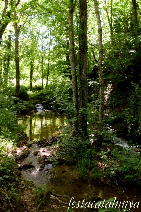 Vallfogona de Ripollès - Pont medieval - Riera de Vallfogona