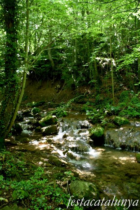 Vallfogona de Ripollès - Pont medieval - Riera de Vallfogona