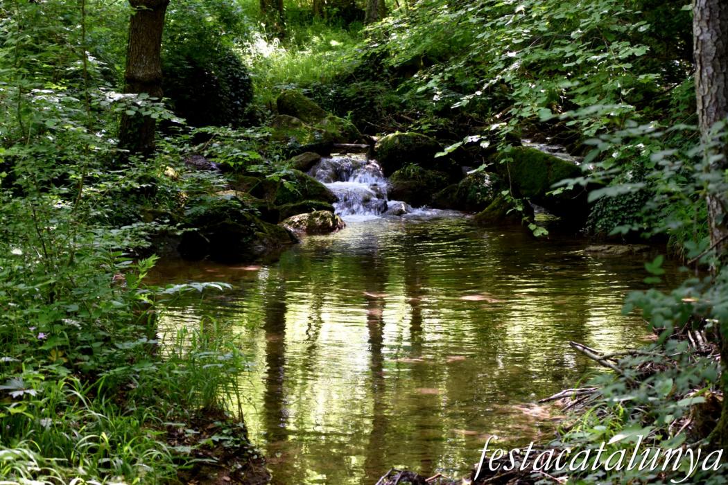 Vallfogona de Ripollès - Pont medieval - Riera de Vallfogona