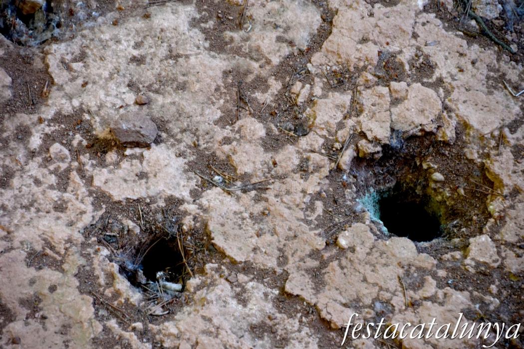 Vallfogona de Ripollès - Teuleria del Pinetar de l'Obra