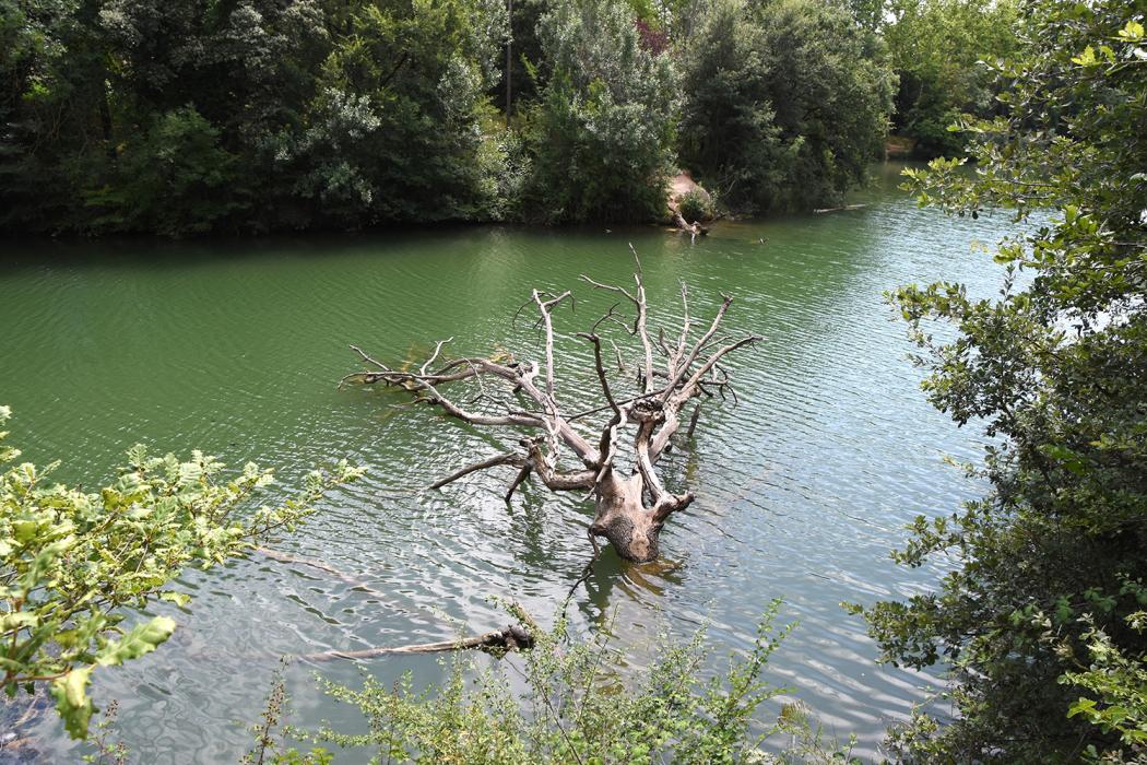 Estany de Graugés