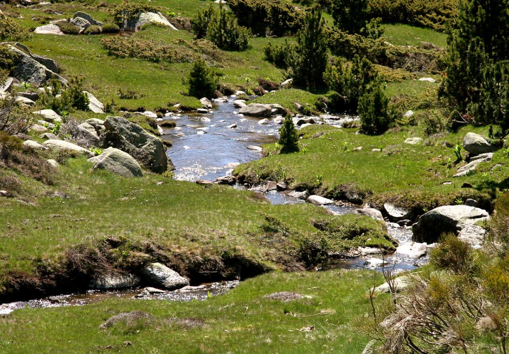 Les Bulloses de Llívia