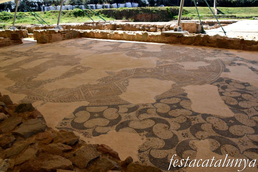 Mataró - Vil·la romana de Torre Llauder