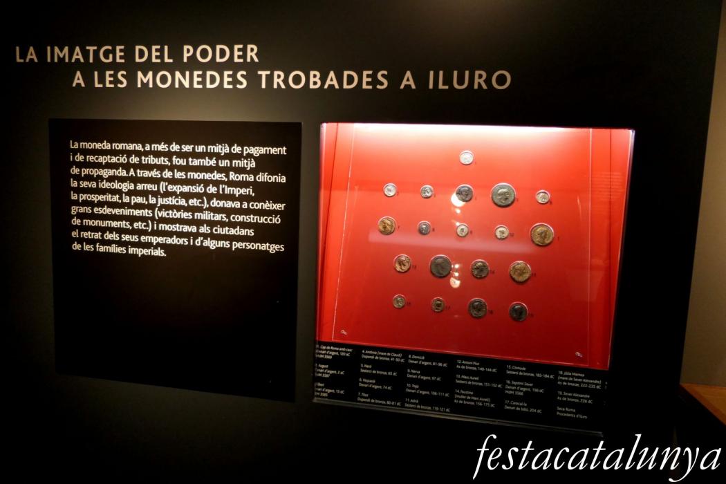 Casa Serra Arnau, Museu de Mataró