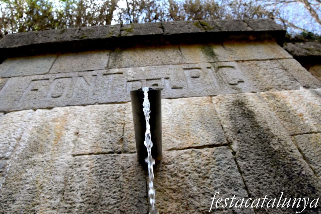 Font del Pic de Sant Hilari Sacalm i llera del riu Vallicrosa