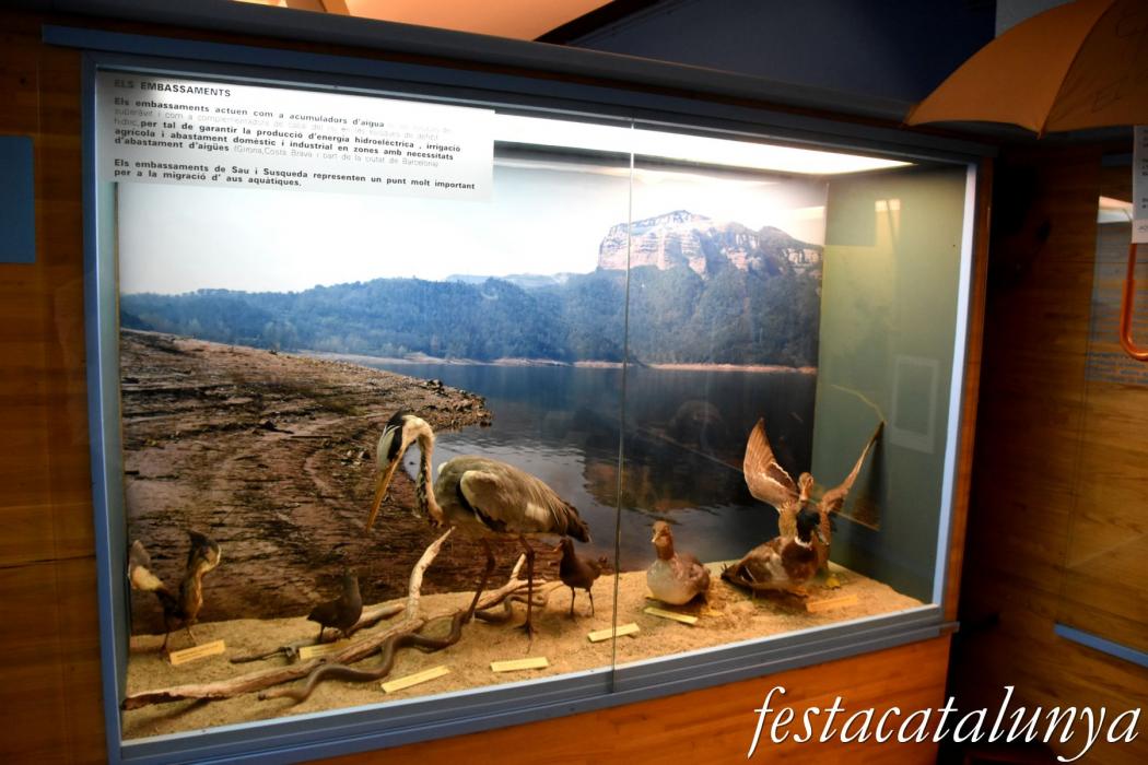 Sant Hilari Sacalm - Museu de les Guilleries
