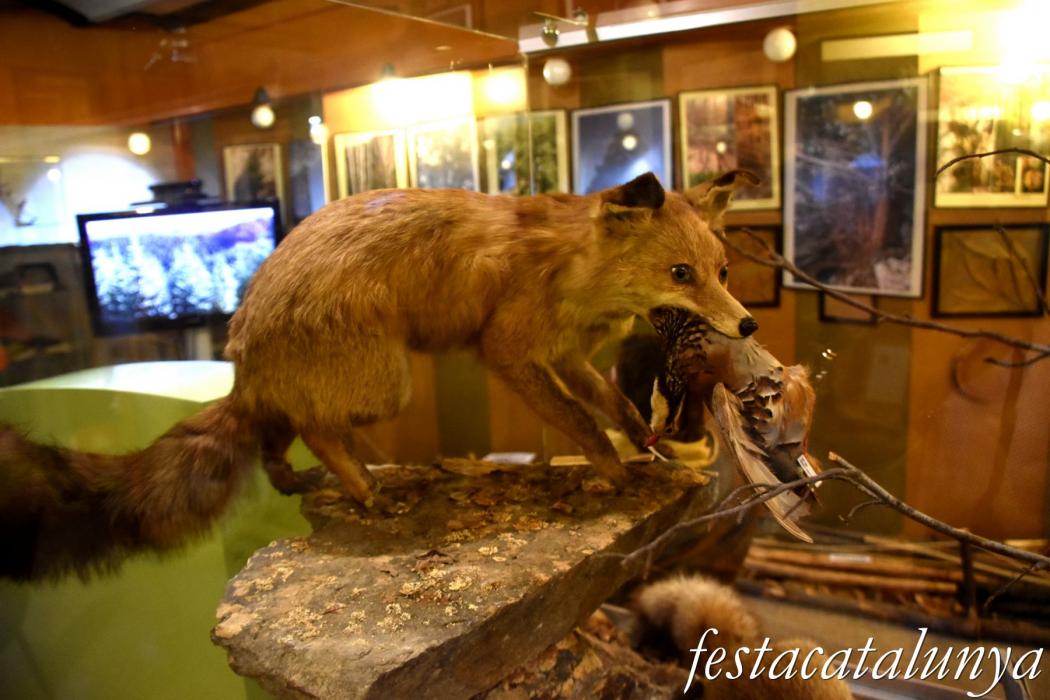 Sant Hilari Sacalm - Museu de les Guilleries