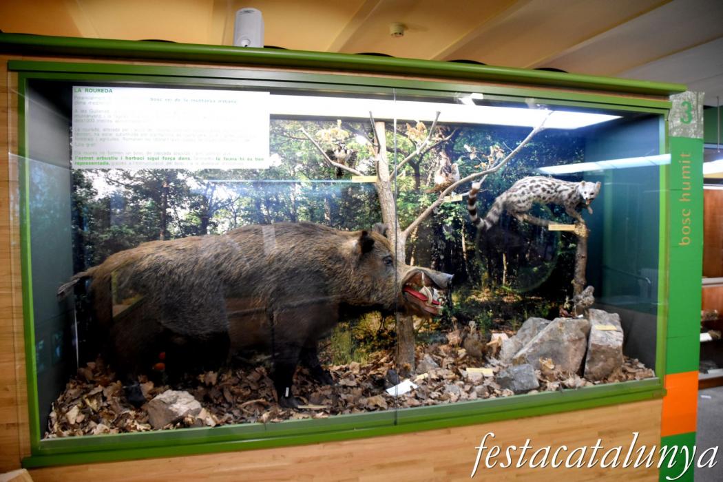 Sant Hilari Sacalm - Museu de les Guilleries