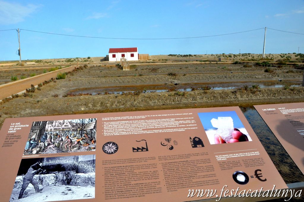 Amposta - MónNatura Delta a Amposta