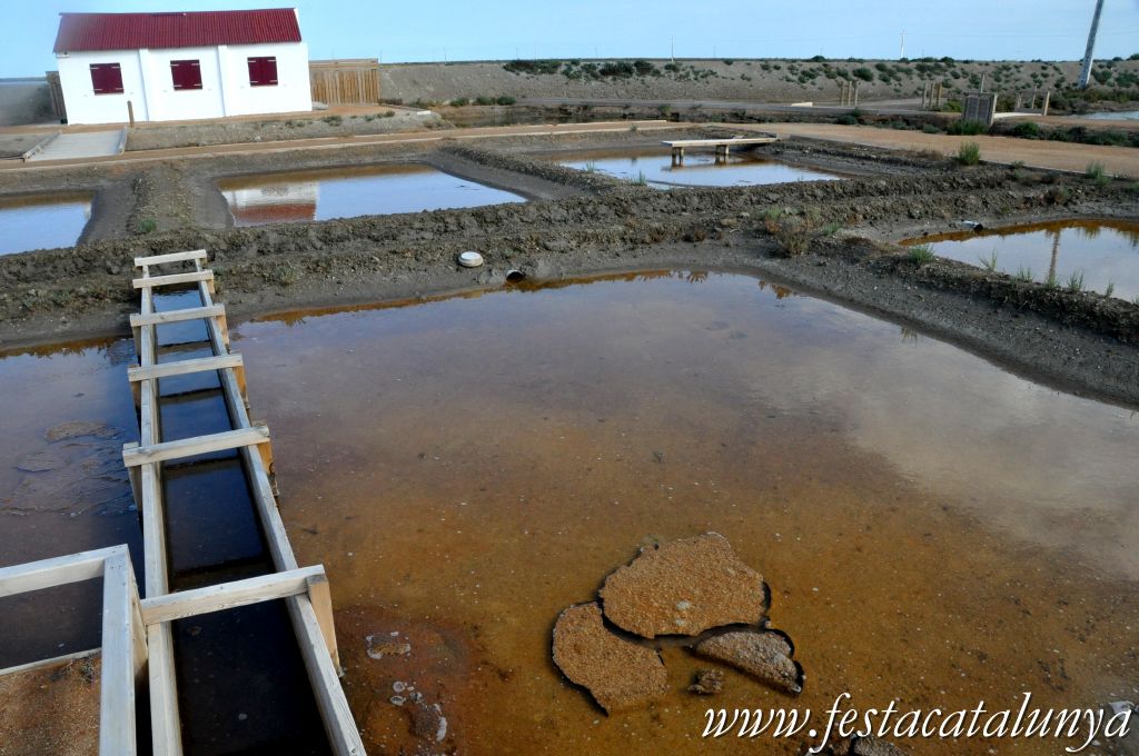 Amposta - MónNatura Delta a Amposta