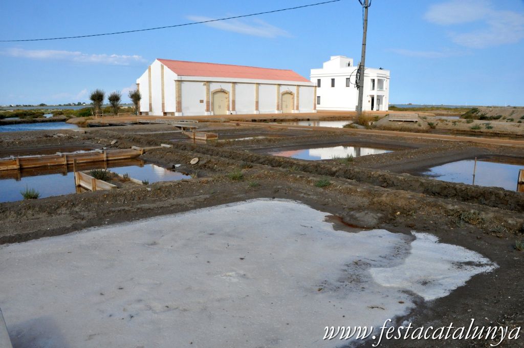 Amposta - MónNatura Delta a Amposta Amposta, MónNatura, Delta