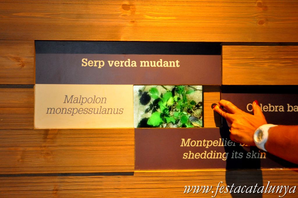 Amposta - MónNatura Delta a Amposta