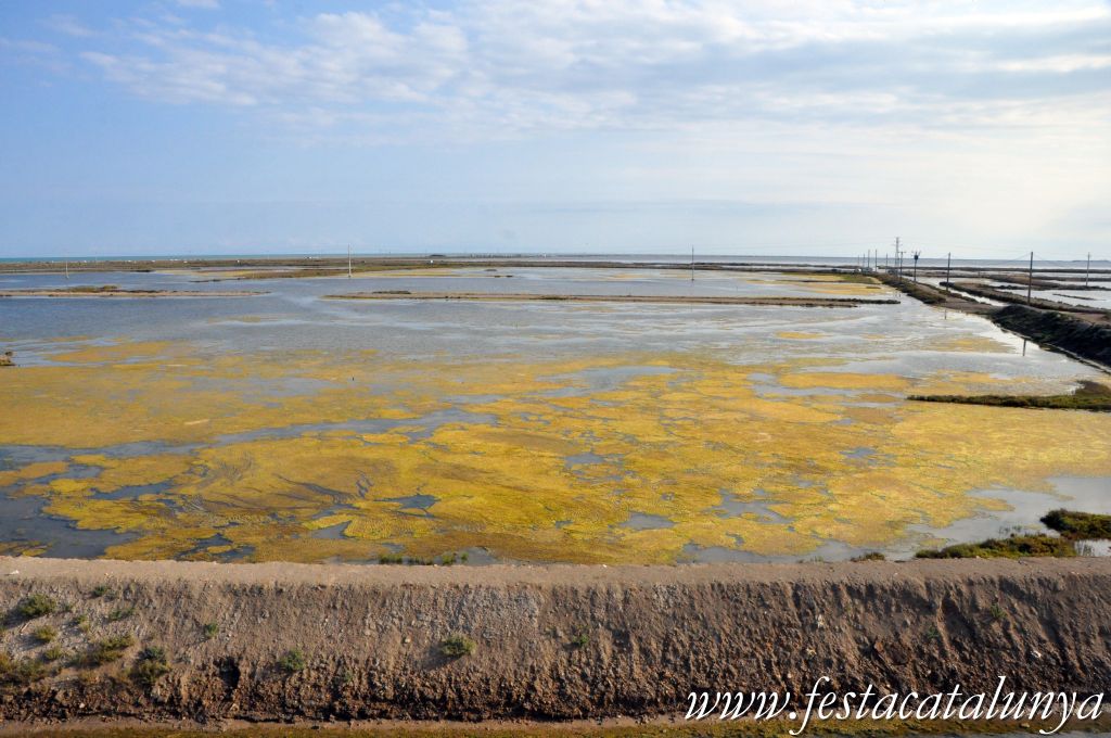 Amposta - MónNatura Delta a Amposta