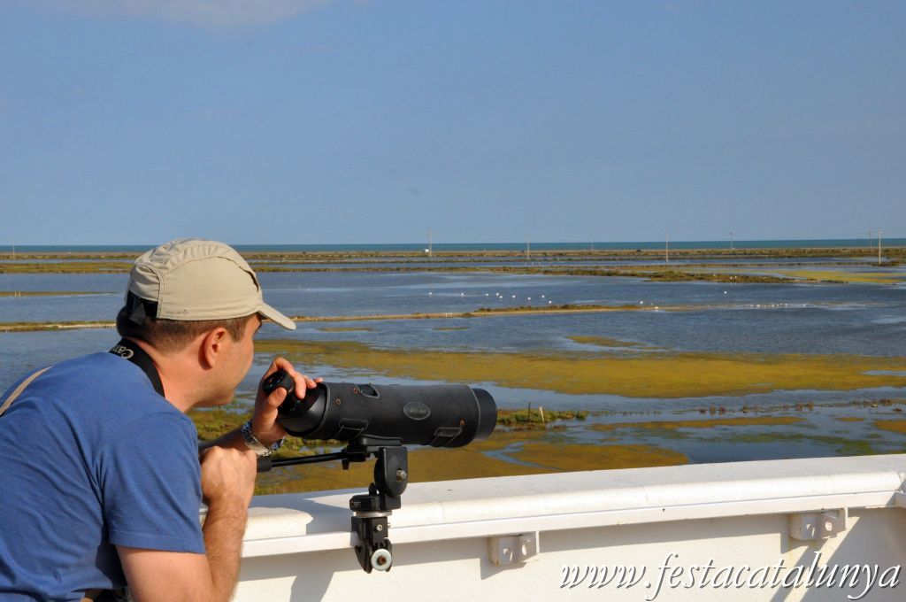 Amposta - MónNatura Delta a Amposta