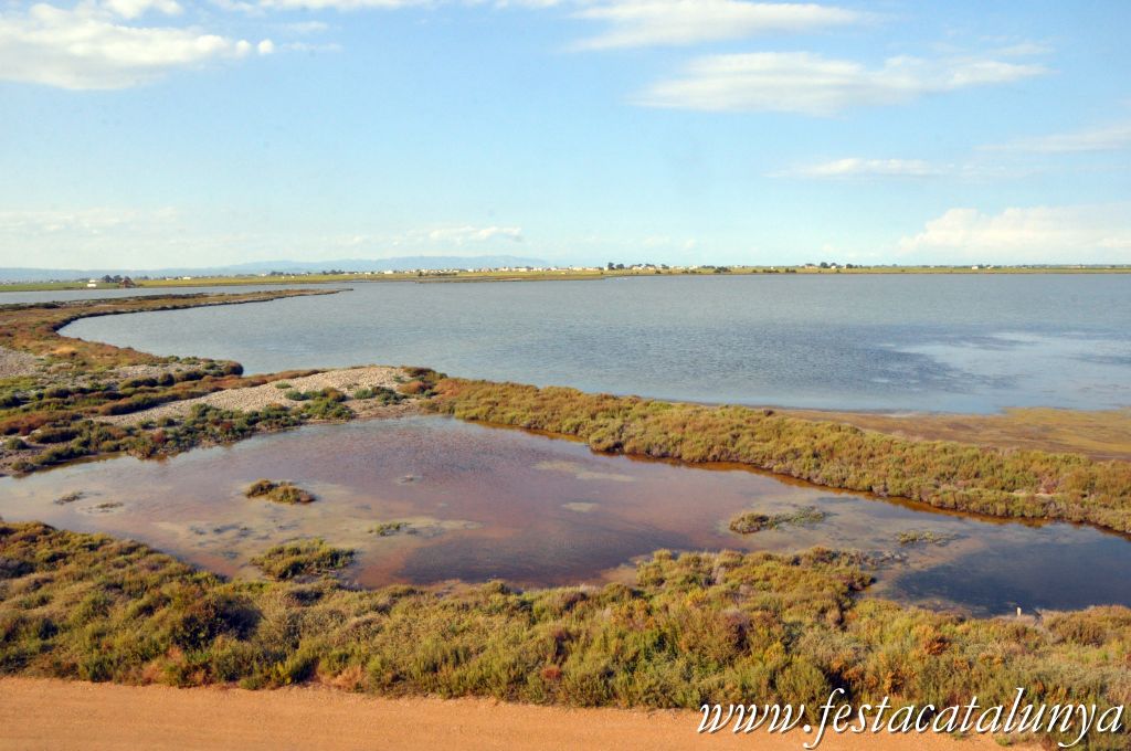 Amposta - MónNatura Delta a Amposta