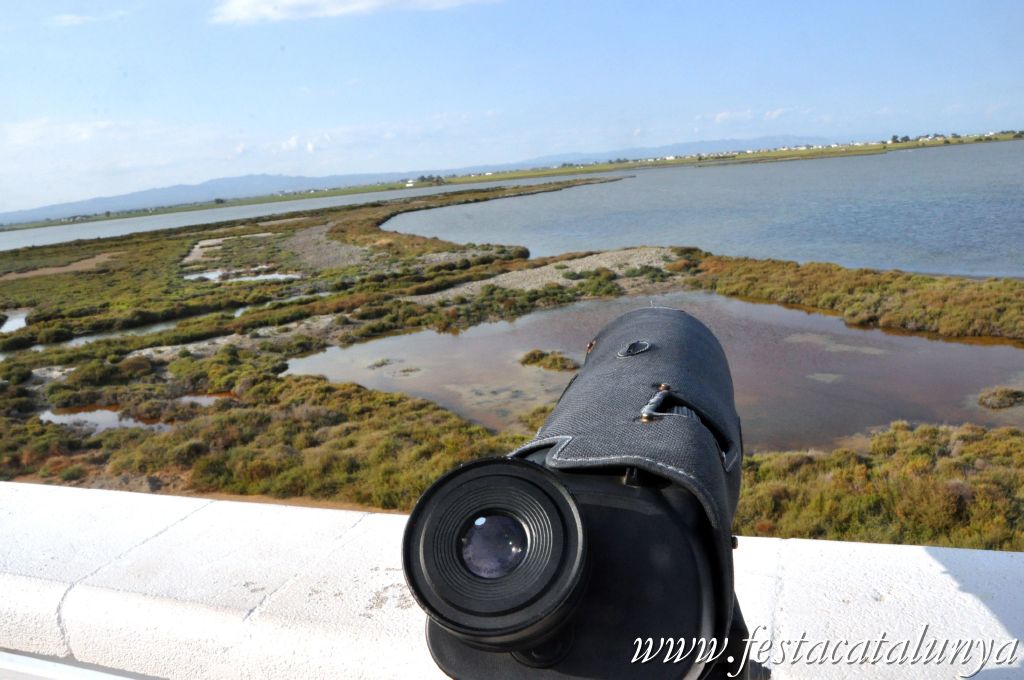 Amposta - MónNatura Delta a Amposta