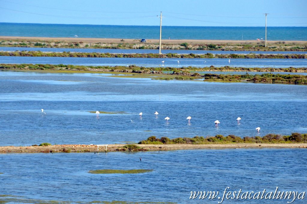 Amposta - MónNatura Delta a Amposta