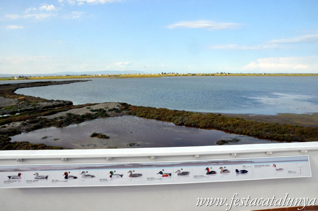 Amposta - MónNatura Delta a Amposta