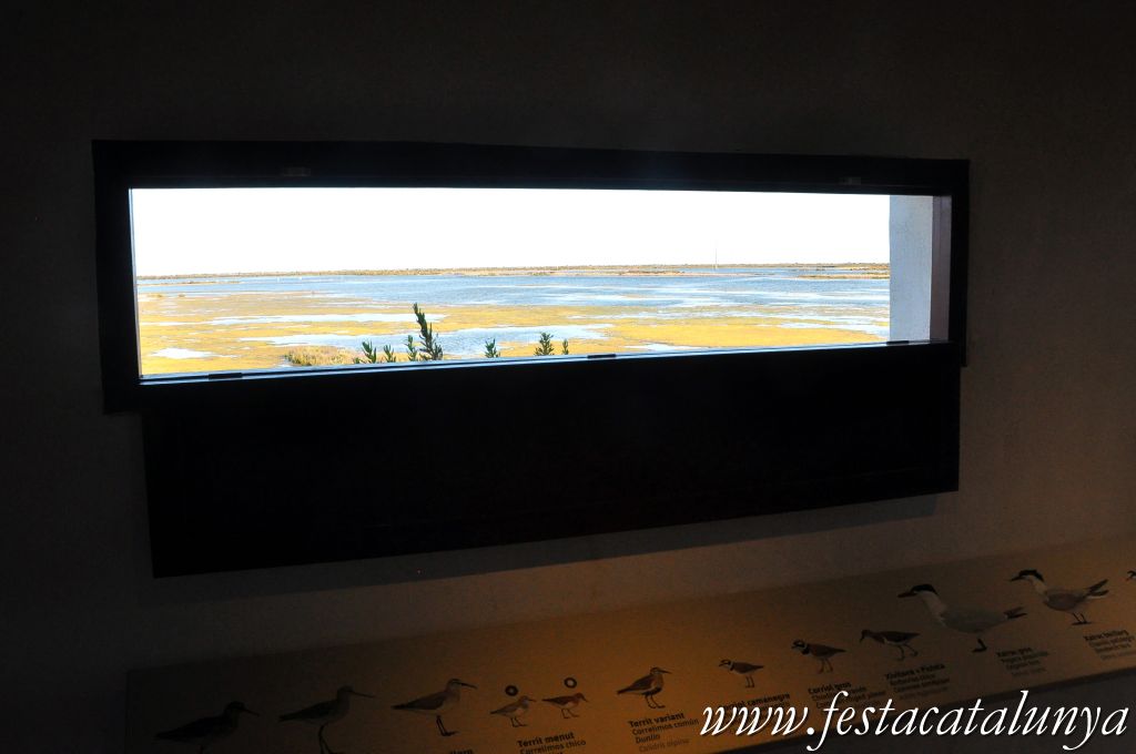 Amposta - MónNatura Delta a Amposta