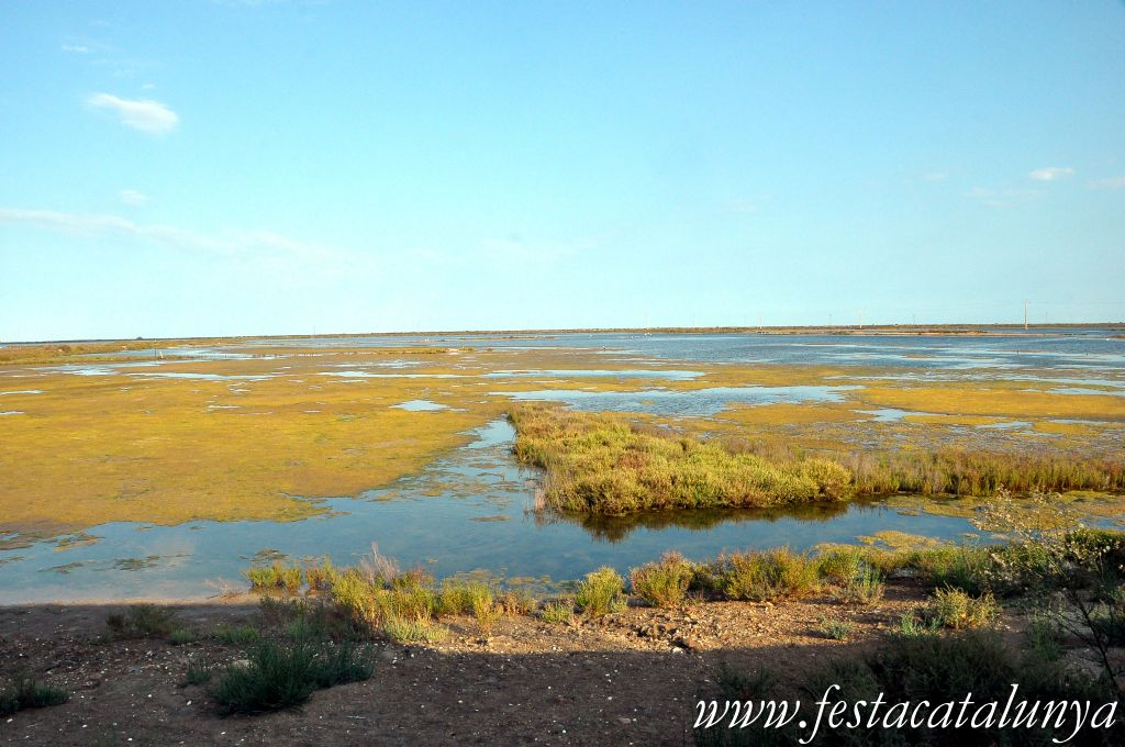 Amposta - MónNatura Delta a Amposta