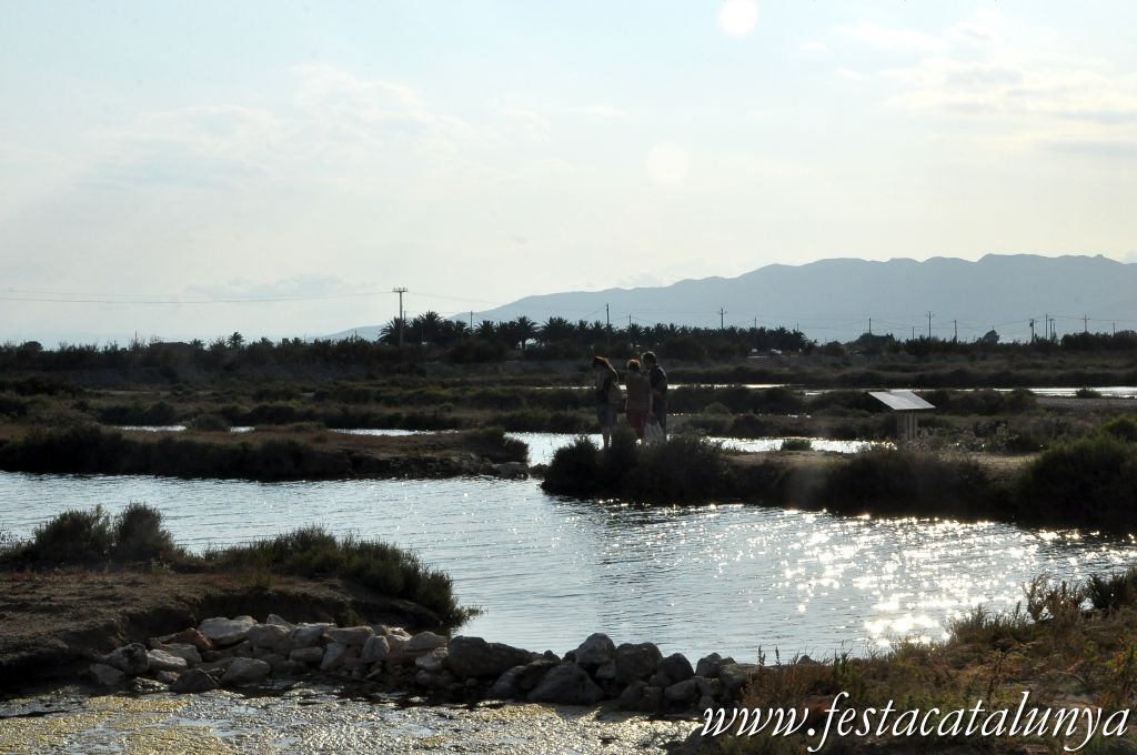 Amposta - MónNatura Delta a Amposta
