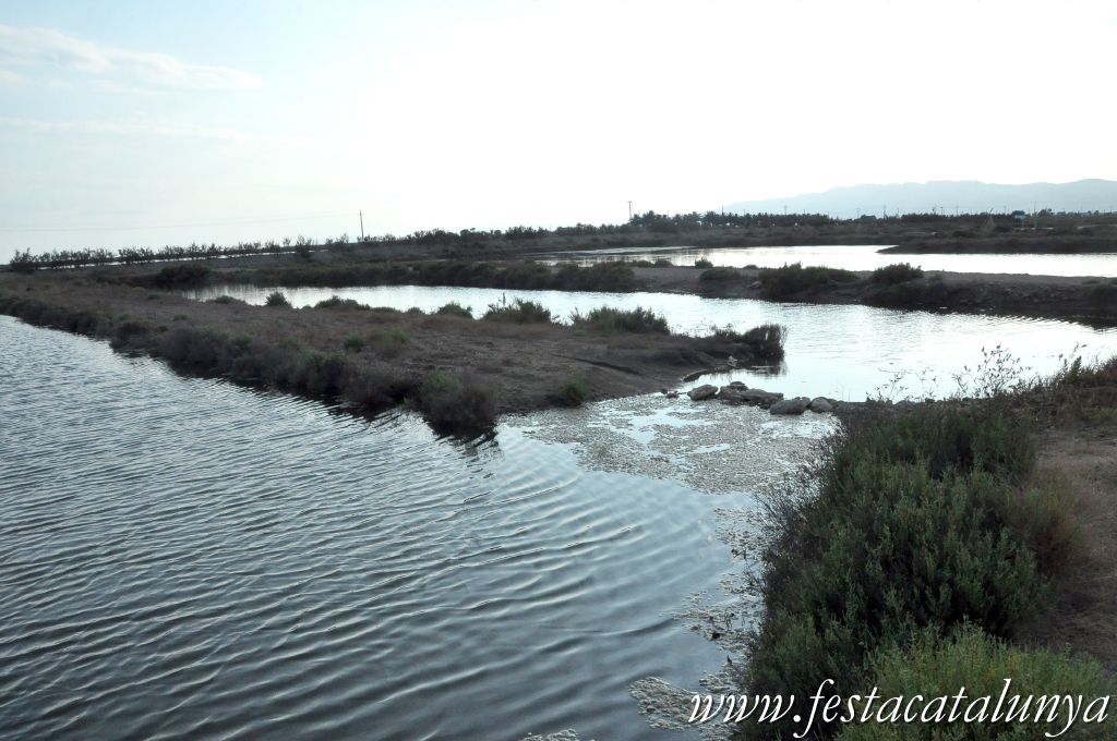 Amposta - MónNatura Delta a Amposta