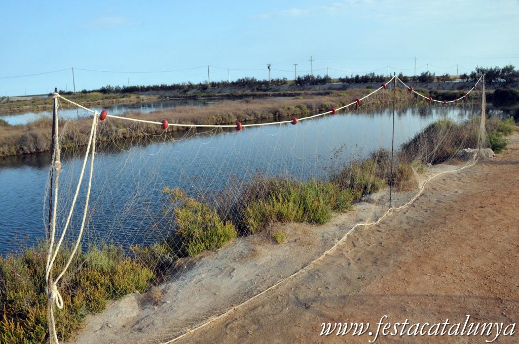 Amposta - MónNatura Delta a Amposta