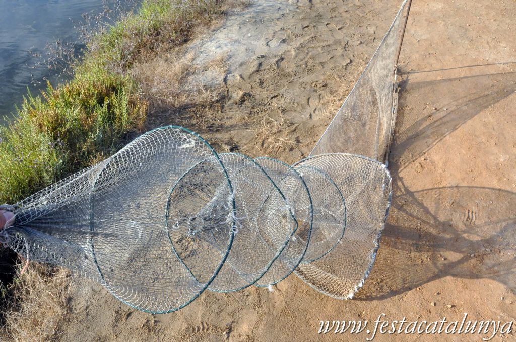 Amposta - MónNatura Delta a Amposta