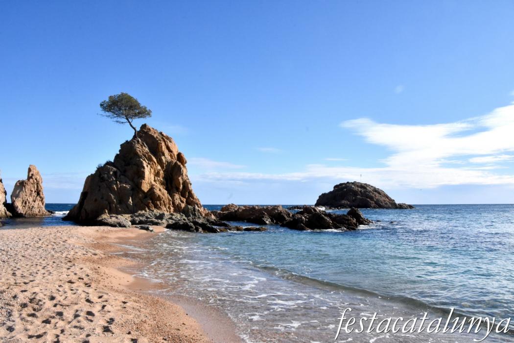 Tossa de Mar - Mar Menuda