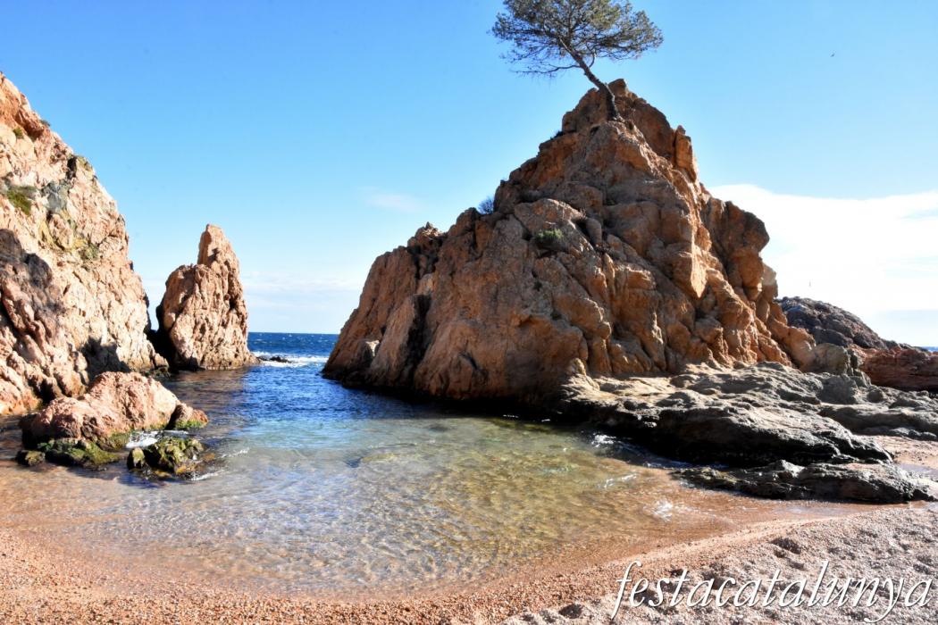Platges de Tossa de Mar***