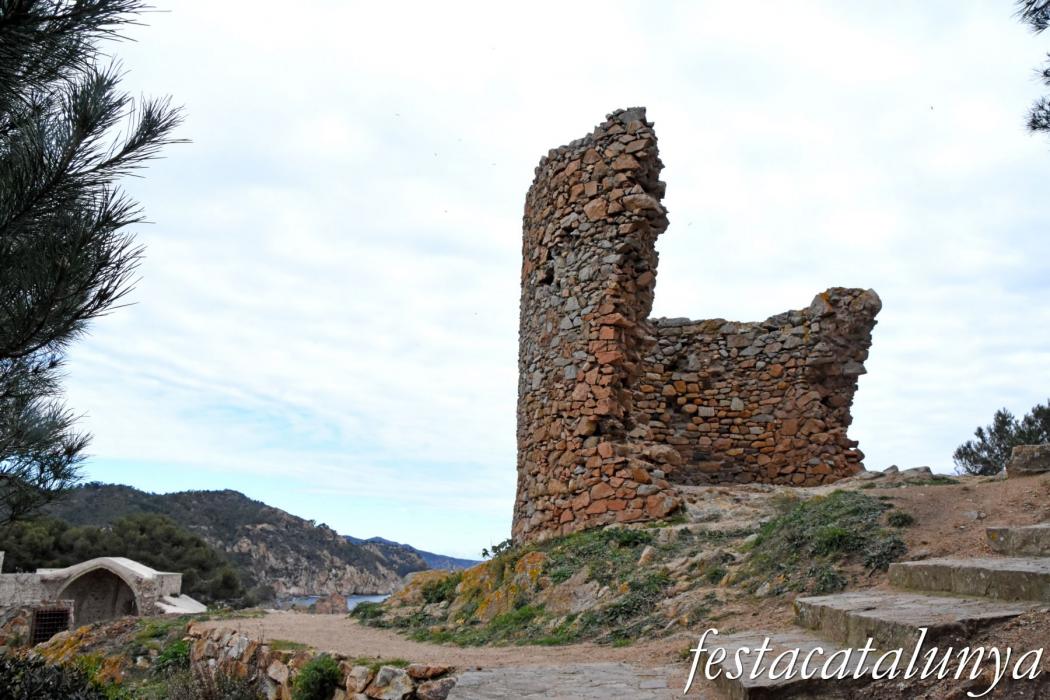 Torre de l'Agulla de Pola