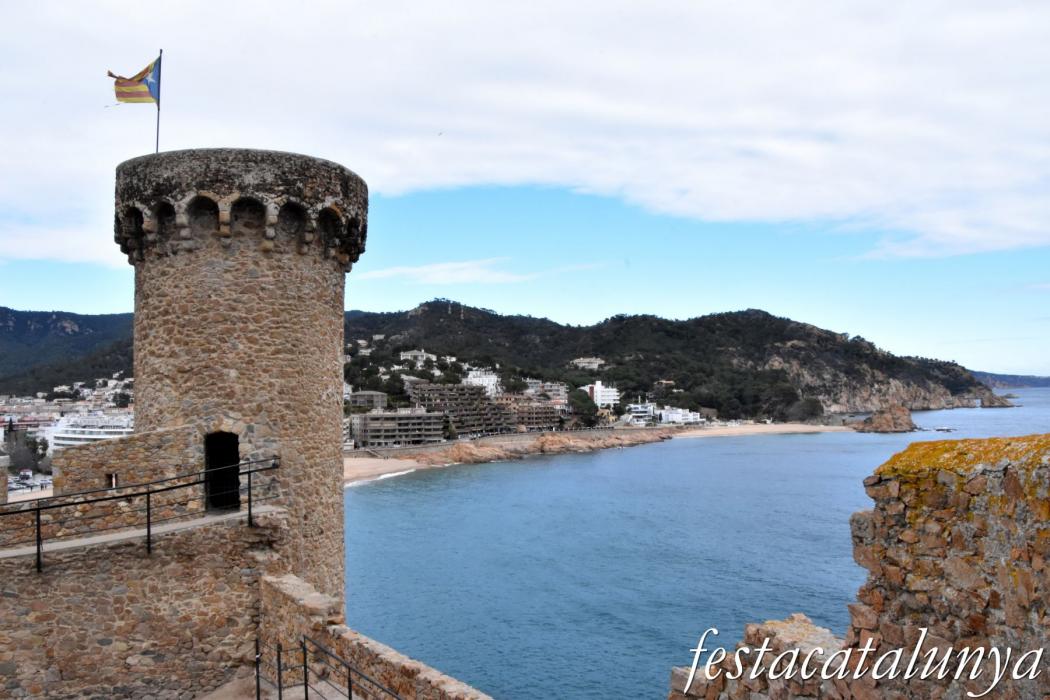 Torre de Joanàs***