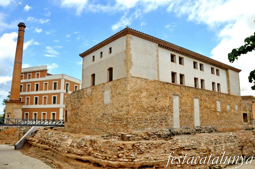 Amposta - Castell d'Amposta