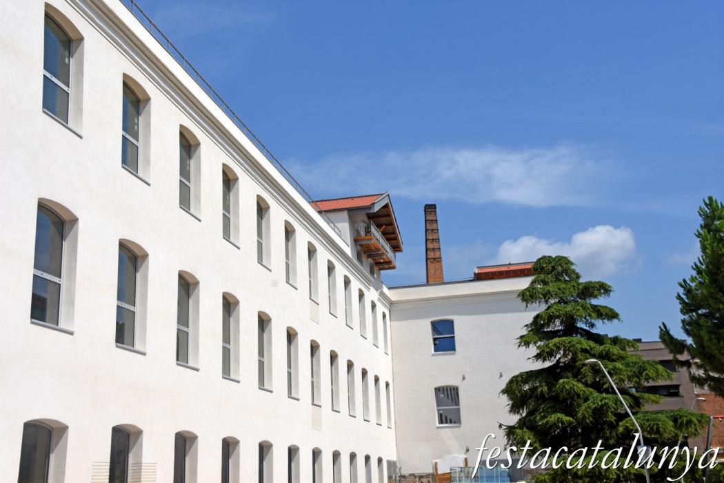 Fàbrica Ferrer i Mora o edifici del Molí de Molins de Rei