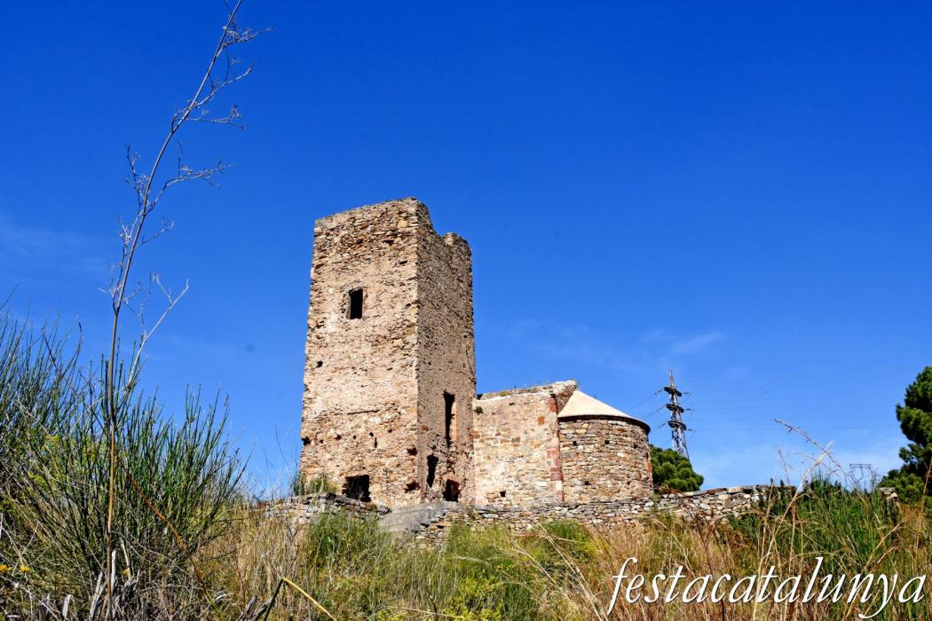 Sant Pere de Romaní i jaciment de ca la Còrdia de Molins de Rei ***