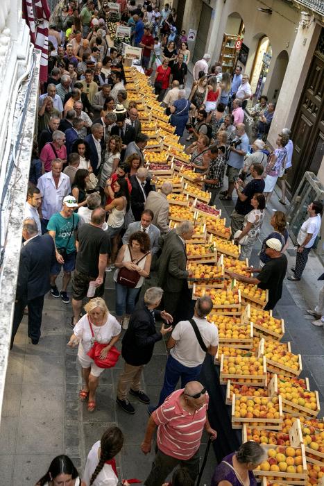 Valls - Firagost (Foto: Cambra de Comerç de Valls) 