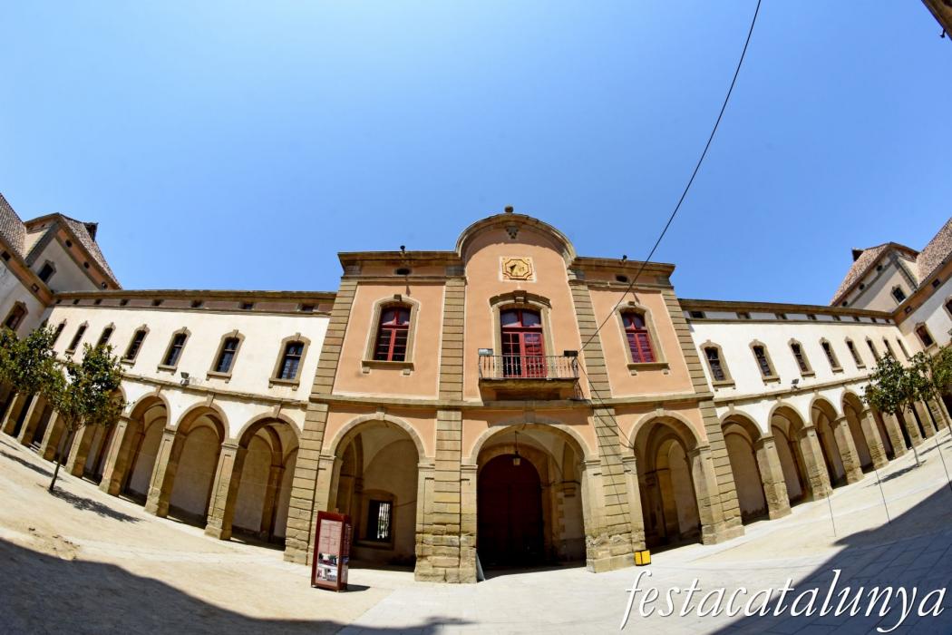Visites Guiades als monuments de Cervera