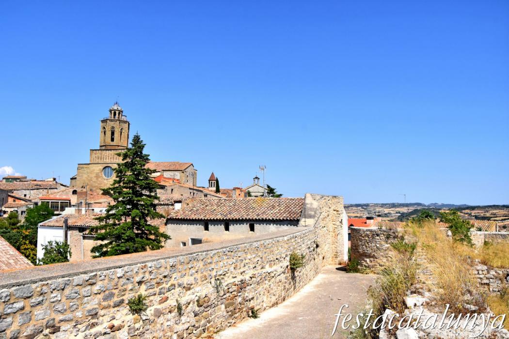 Cervera - Castell 