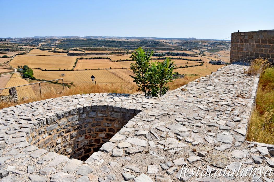 Cervera - Castell