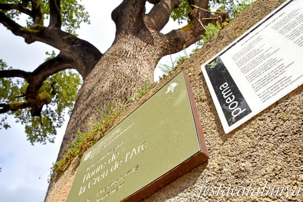 Arboretum de Vidrà
