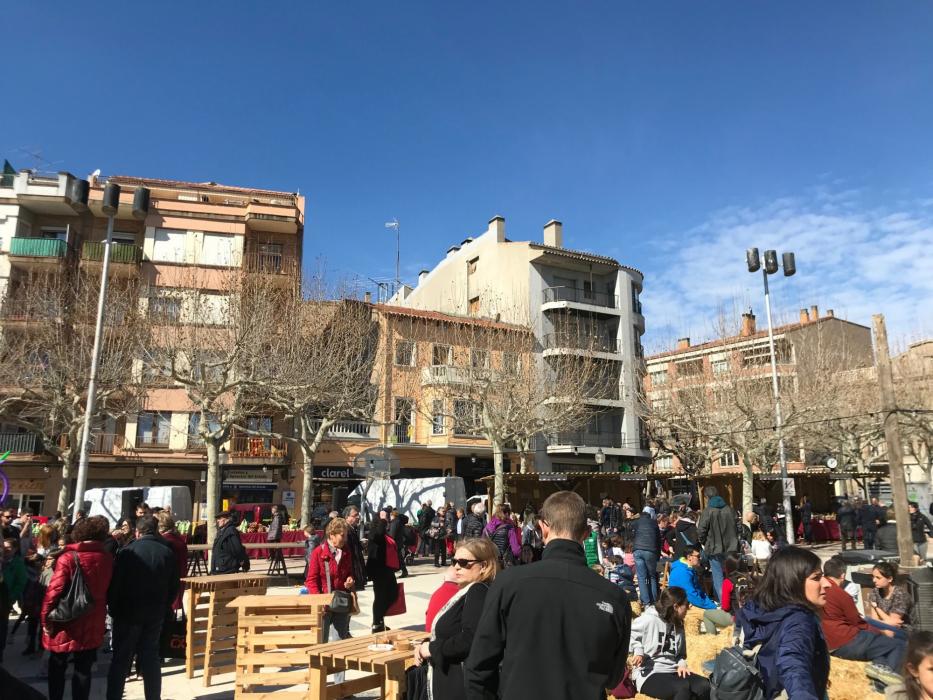 Solsona - Fira del Trumfo i la Tòfona (Foto: www.firadesolsona.com)