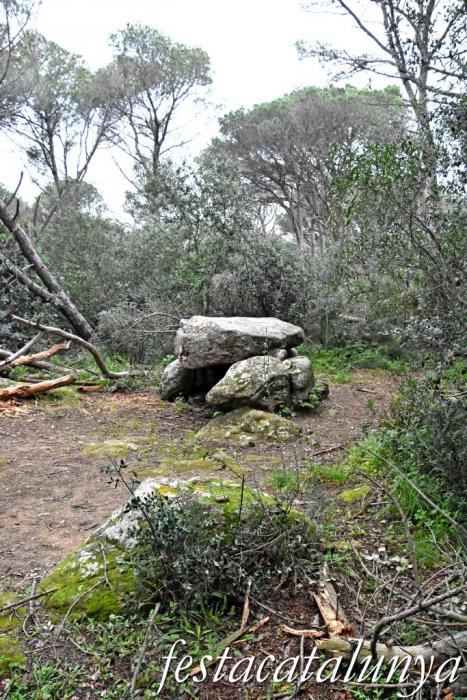 Palafrugell - Dolmen de can Mina dels Torrents 