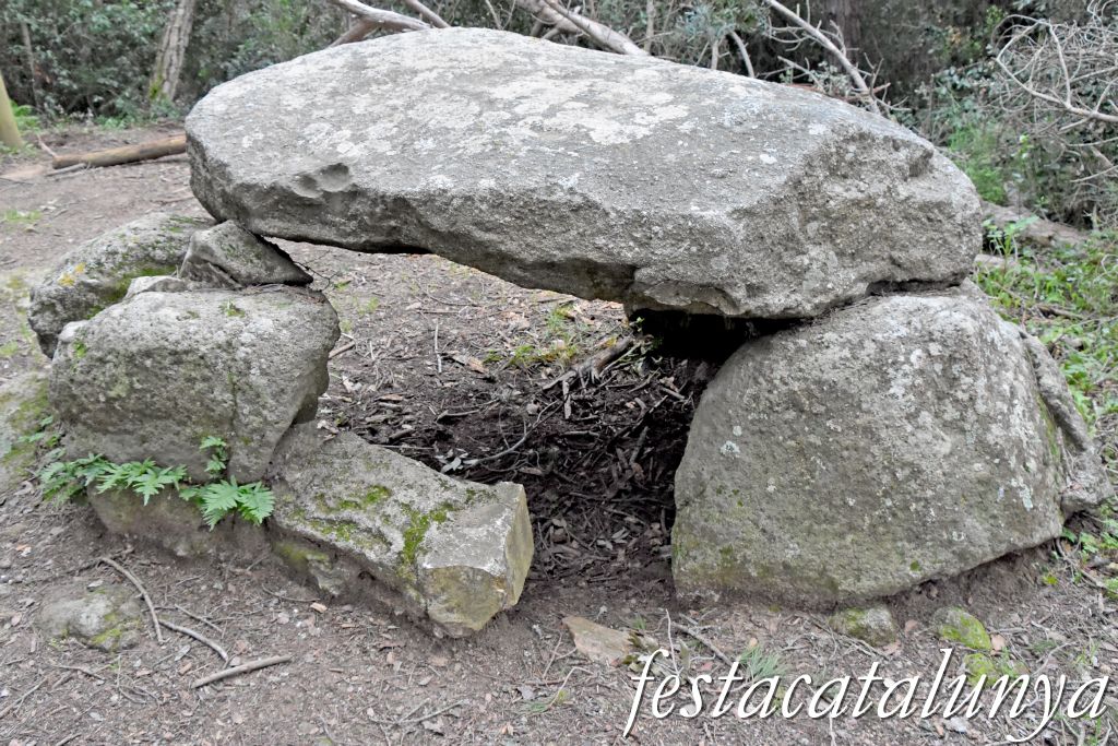 Dolmen de can Mina dels Torrents a Palafrugell ***