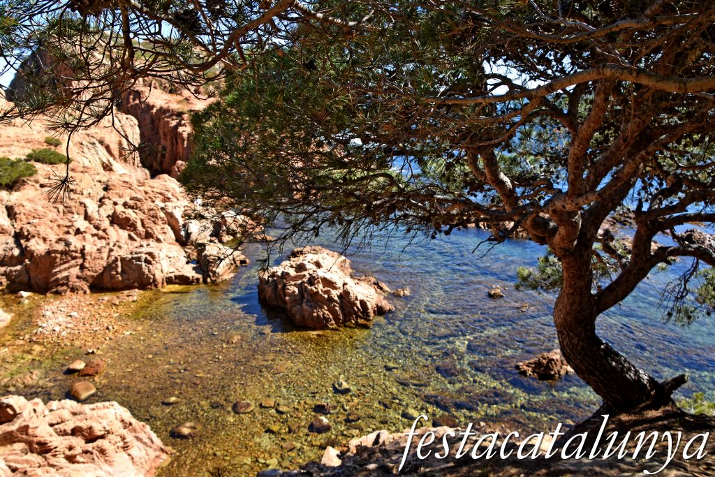 Aigua Xelida de Tamariu a Palafrugell ***