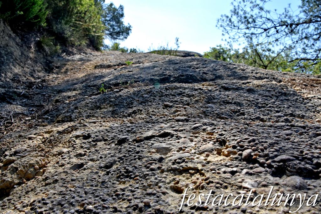 Carme - Coll de la Llentia