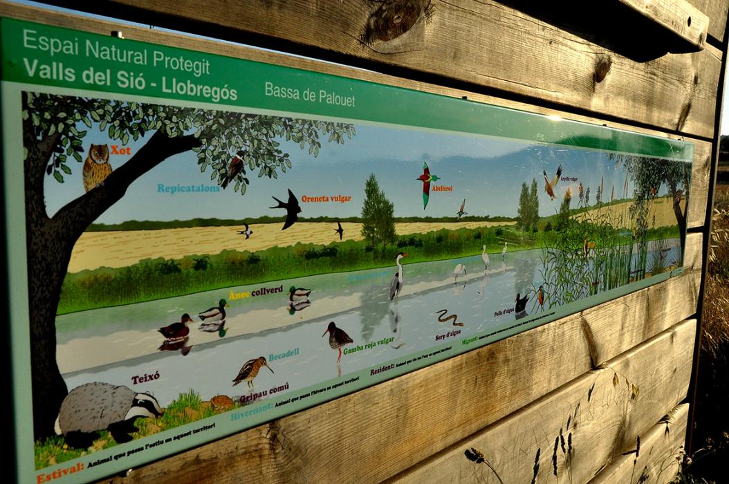 La Bassa de Palouet