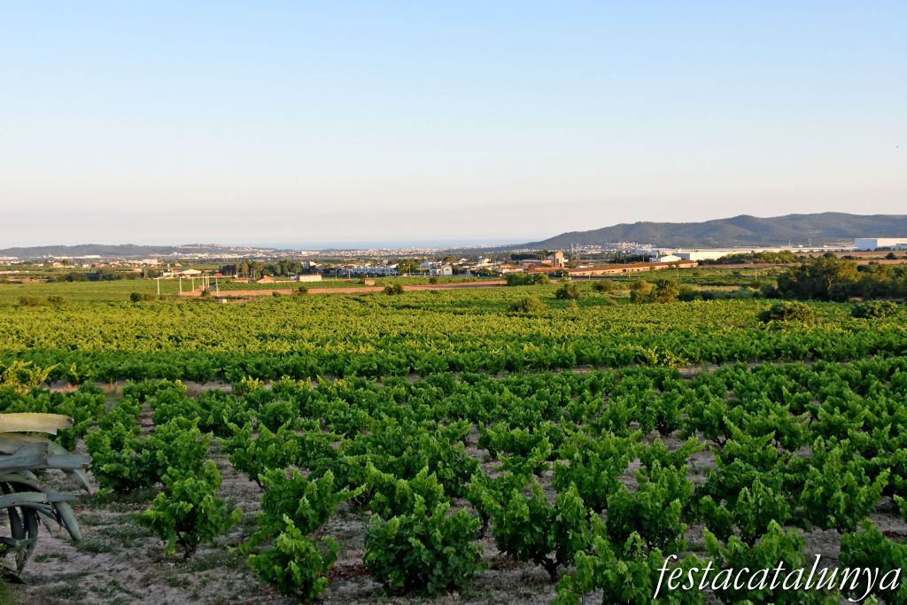 Sant Jaume dels Domenys - Cal Pau i església de Sant Antoni Abad a Torregassa