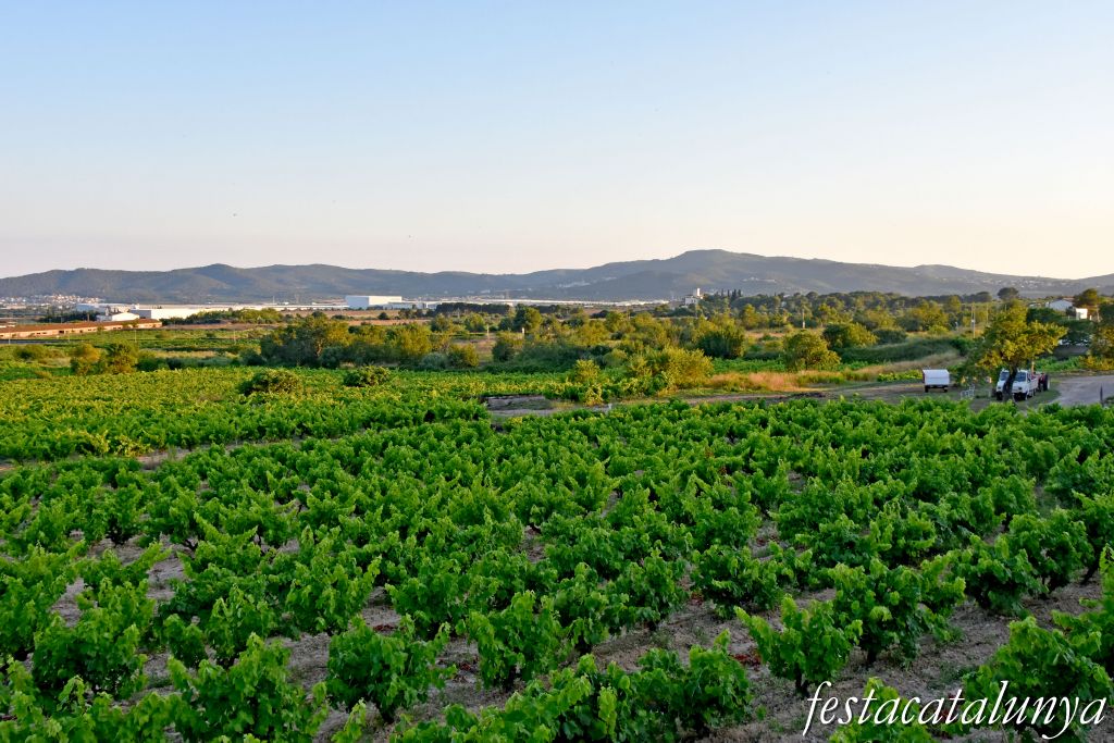 Sant Jaume dels Domenys - Cal Pau i església de Sant Antoni Abad a Torregassa