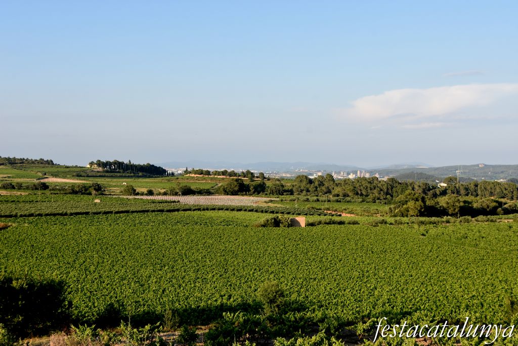 Sant Jaume dels Domenys - Torre de guaita de Lletger (Vistes panoràmiques)